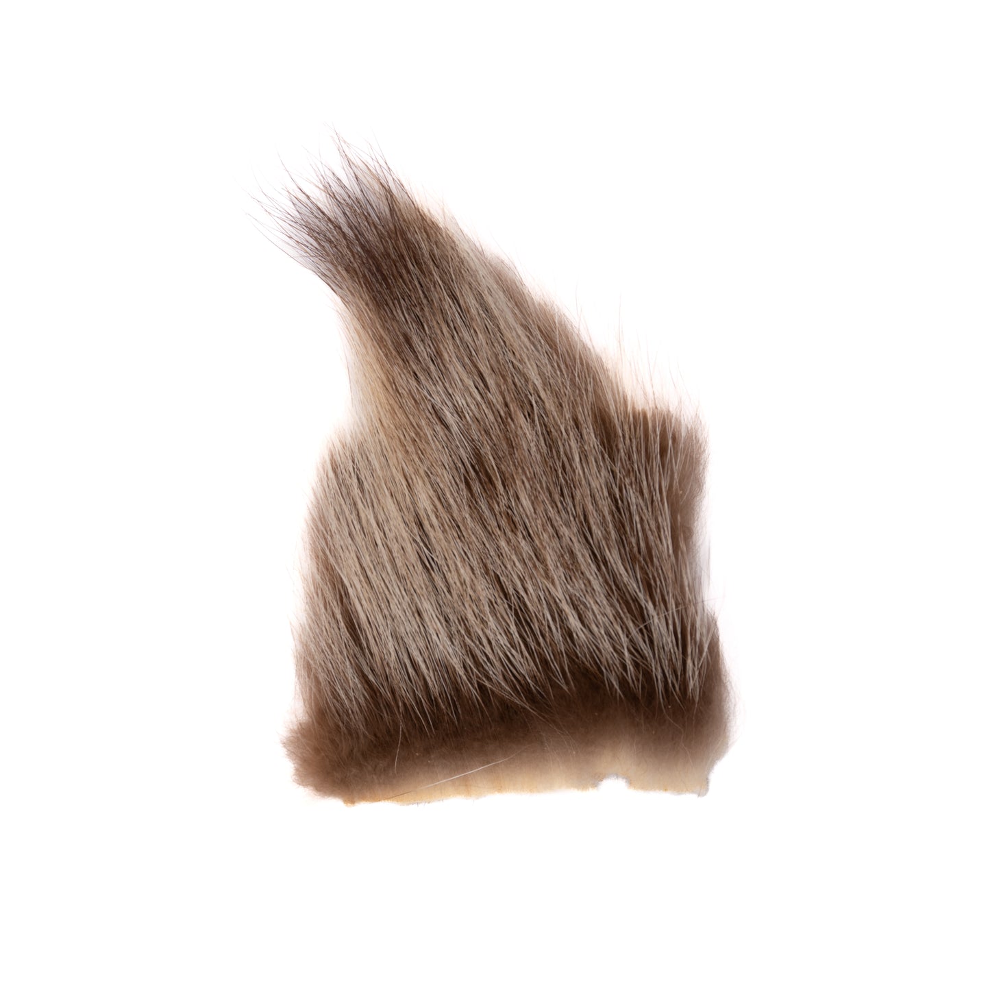 Raccoon Fur