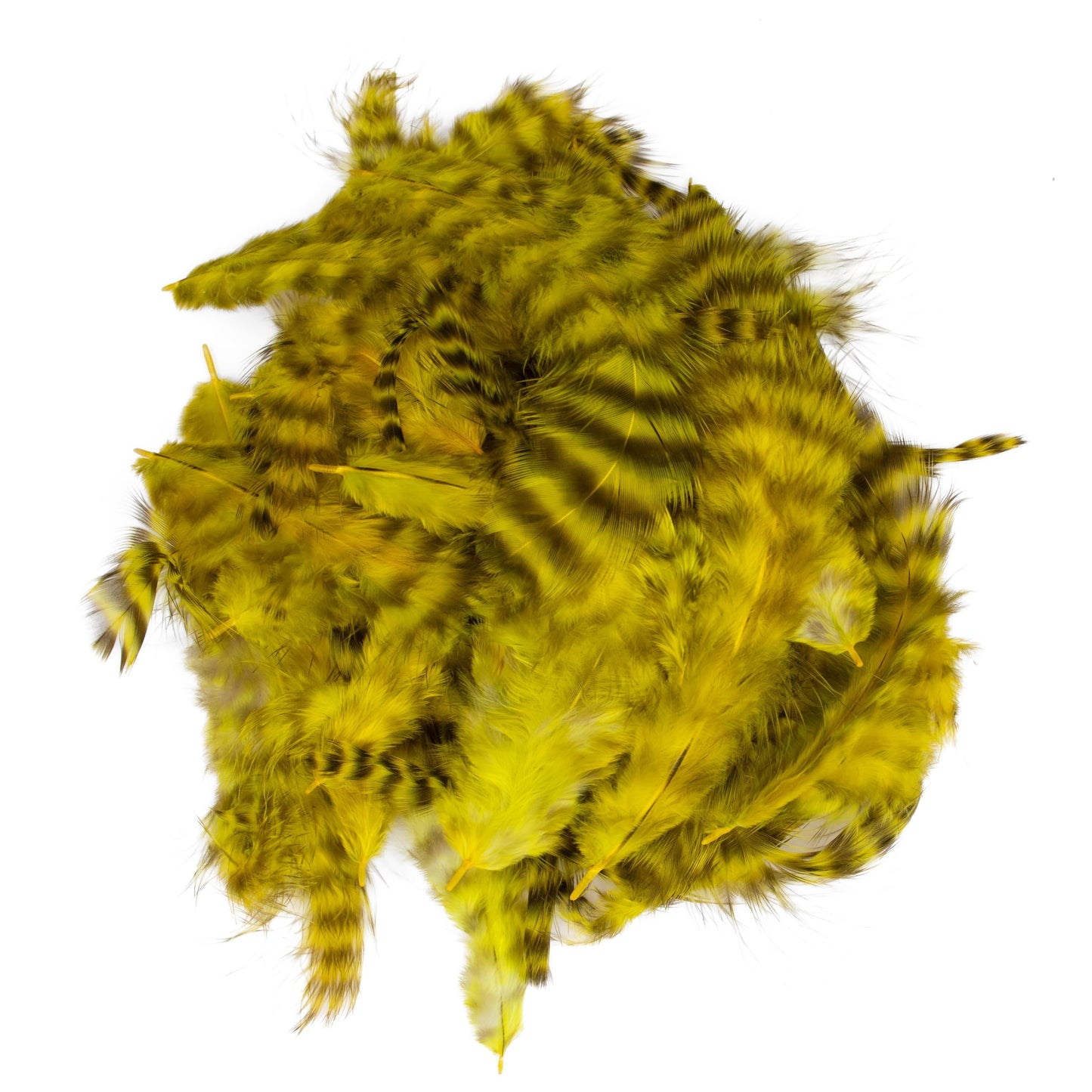 Grizzly Soft Hackle