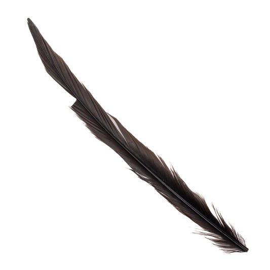Ringneck Pheasant Tail Feathers