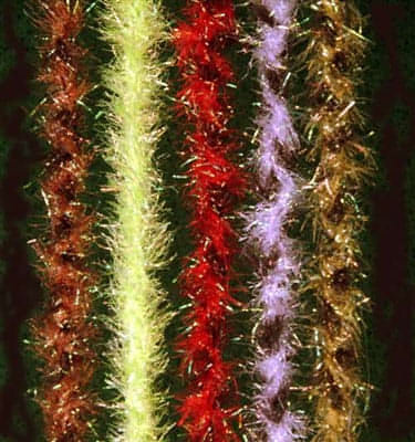 Crystal Braid