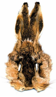 Hare's Mask
