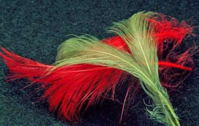 Spey Hackle