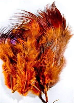 Ringneck Rump Hackle