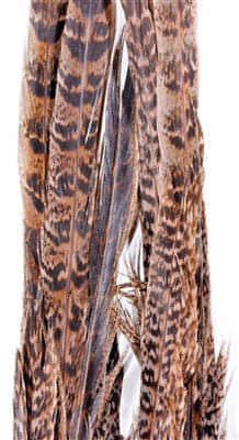 Hen Pheasant Tail Section