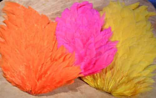 Domestic Hen Backs
