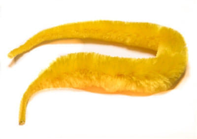 Minnows