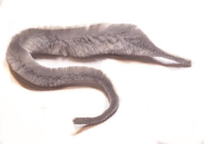 Minnows