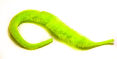 Minnows