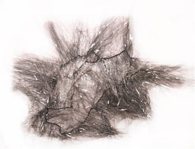 Transparent Enhancer Wrap