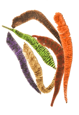 Mini Variegated Minnow