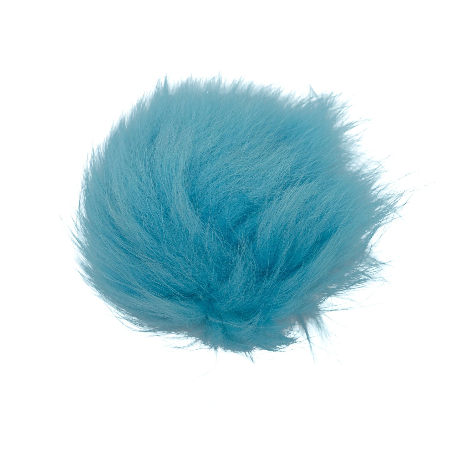 Arctic Fox