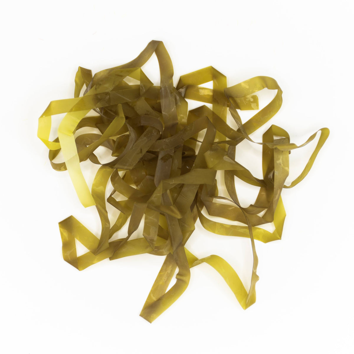 Body Stretch