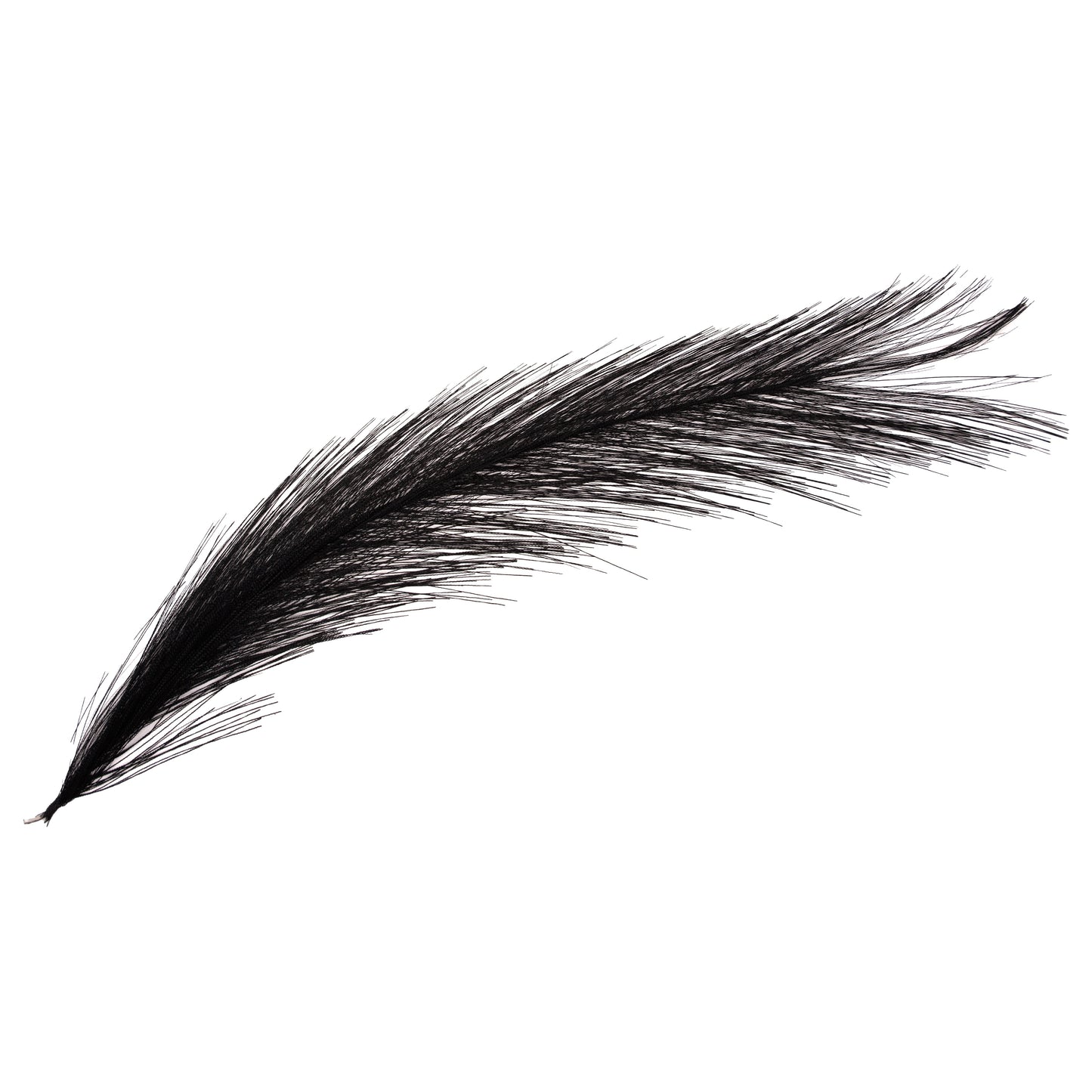 Hackle Hair