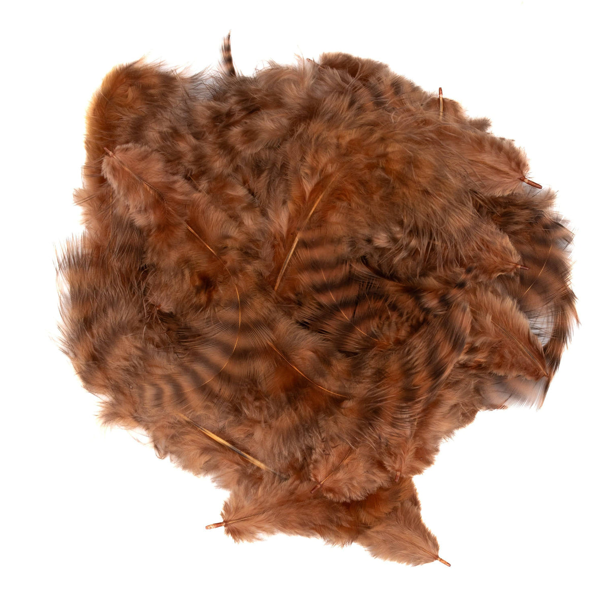 Hareline Grizzly Soft Hackle Feathers For Fly Tying – 10 Color Options, Barred Patterns For Nymphs & Wet Flies