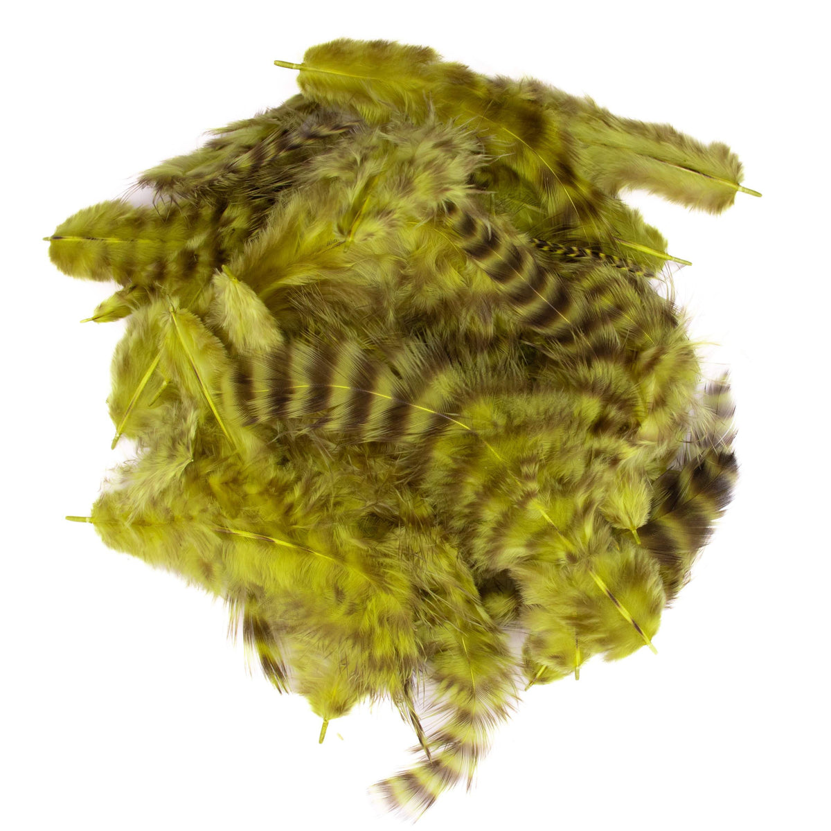 Hareline Grizzly Soft Hackle Feathers For Fly Tying – 10 Color Options, Barred Patterns For Nymphs & Wet Flies