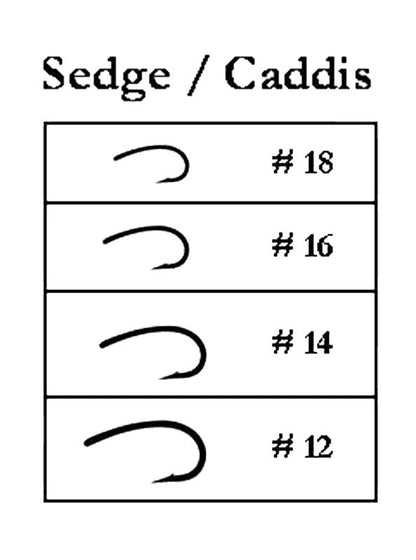 Sedge / Caddis